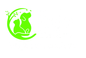 Renko Animal Shelter