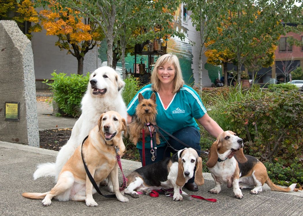 Auntie Donna�s Pet Nanny Services