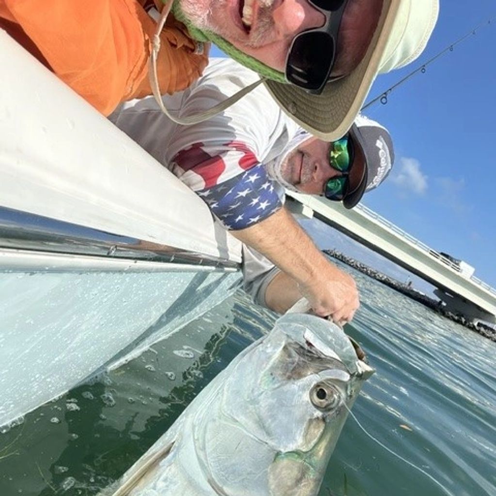 Tarpon at boat side.