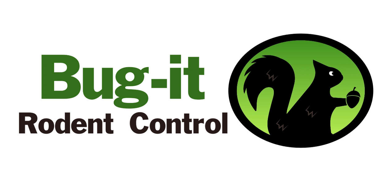 Bug it Rodent Control