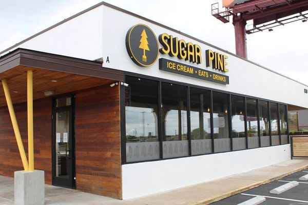 Sugar Pine in Austin Texas