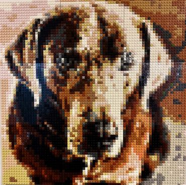 Bud Closeup (Our Mascot and first build)
30" x 30" Mosaic with (9) base plates, and 9216 pcs.