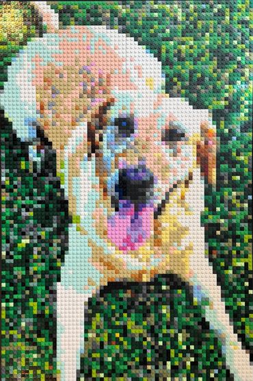 Dog Closeup (customer photo)
20" x 30" Mosaic with (6) base plates, and 6144 pcs.