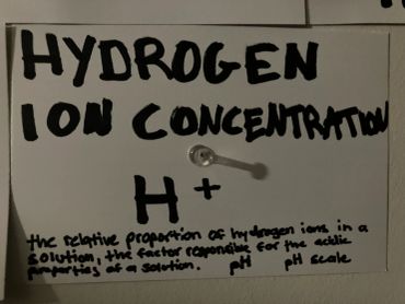 Handwritten note explaining hydrogen ion concentration and pH.