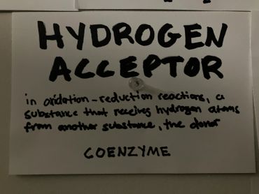 Definition of hydrogen acceptor in redox reactions.