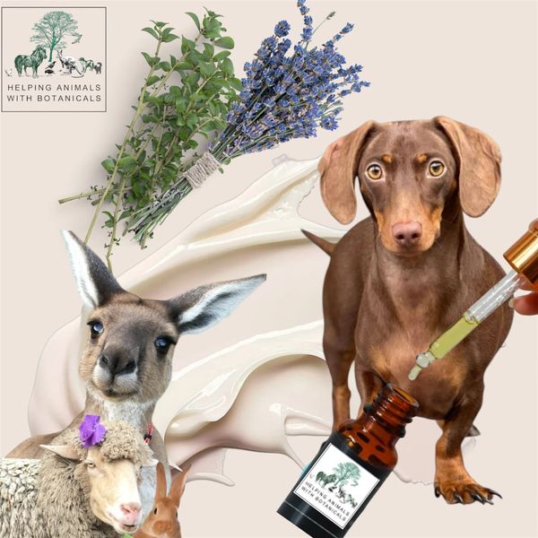 Remedies and skincare all all Animals including wildlife