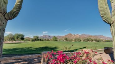 Gold Canyon Golf