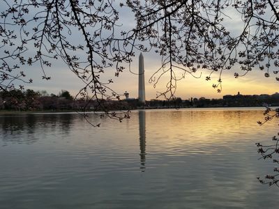 Copyright Maggie Fox
Writer, journalist, reporter, editor, health, news