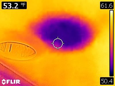 Thermal Imaging scan can find many issues with a home prior to buying it. roof, water, sewer leaks 