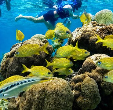 A vibrant underwater world waiting to be explored.