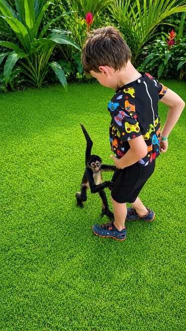 Experience unforgettable encounters with the wildlife of the Yucatán Peninsula.