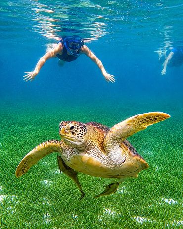 Every swim becomes a memory you'll treasure forever.