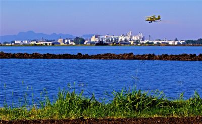 Crop duster air-seeding a rice field.