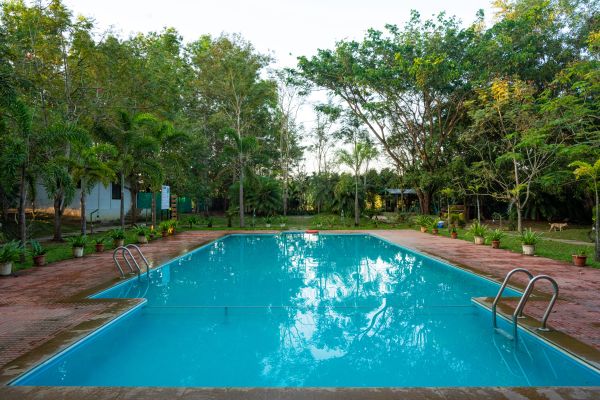 Swimming Pool at Dandeli Luxury Jungle Resort
