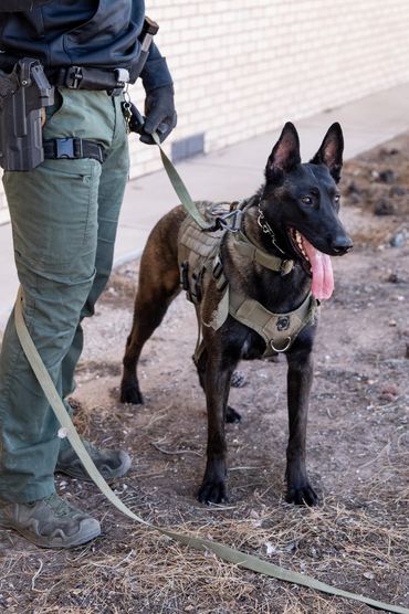 Karen Police K9- Dual Purpose New Mexico