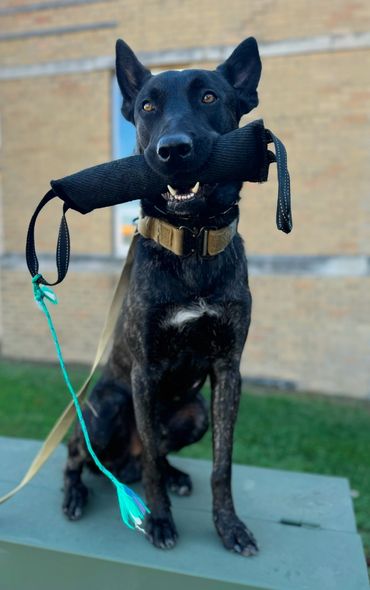 Tank- Police Dual Purpose- Ohio