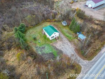 A small house with a green roof surrounded by trees and a dirt driveway.