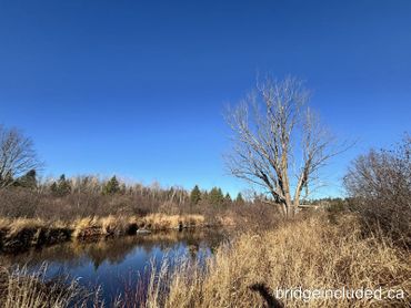 A calm river reflects trees and dry grass under a clear blue sky.