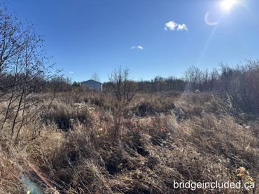 Sunny field with dry grass and a small building in the distance.