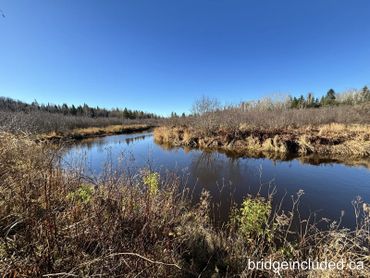 Calm river winding through dry shrubs and trees under a clear blue sky.