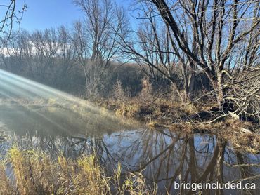 Sunlight beams over a calm pond surrounded by leafless trees in late autumn.