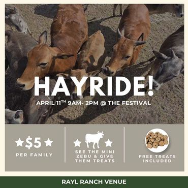 Hayride event at Rayl Ranch with mini zebu and free treats for $5 per family.