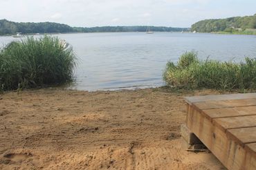 You can launch the kayaks from our beach