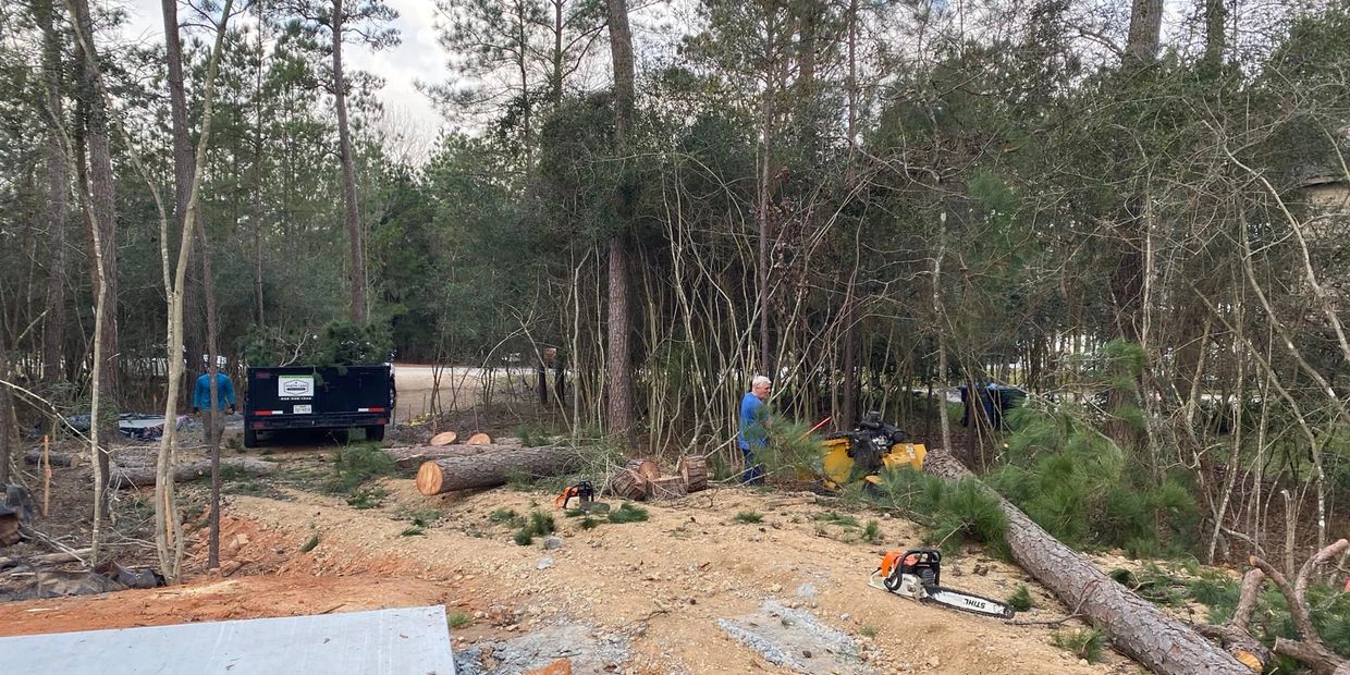 Tree removal and land clearing.