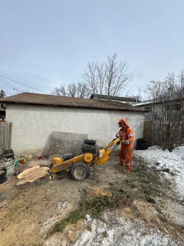 Worker in orange gear operating a stump grinder in a snowy backyard.