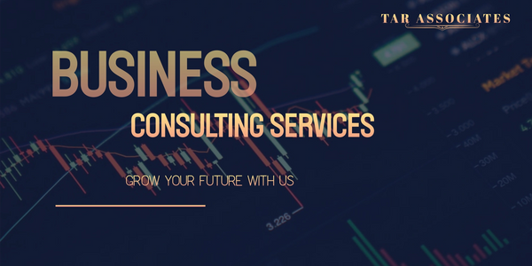 Business consulting services