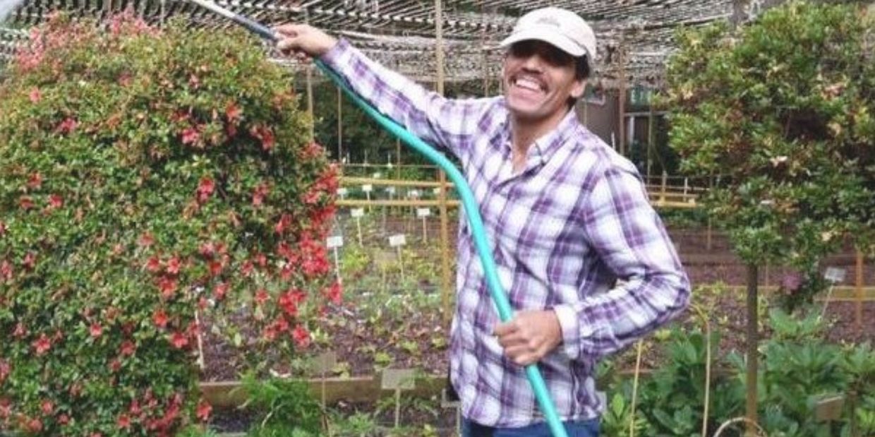 Long-time employee Armando is one of the leaders on rhododendron knowledge in the state.