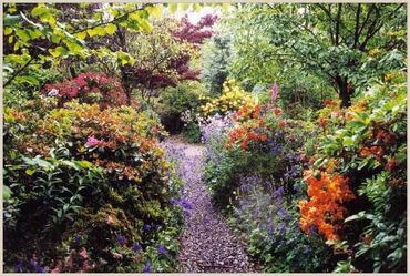 Path © 2005 Sonoma Horticultural Nursery