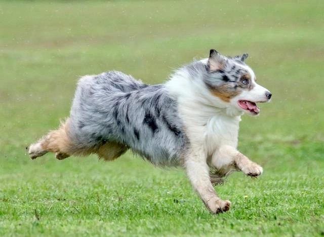 Cash running in CAT trial