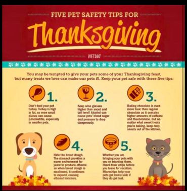 Thanksgiving safety