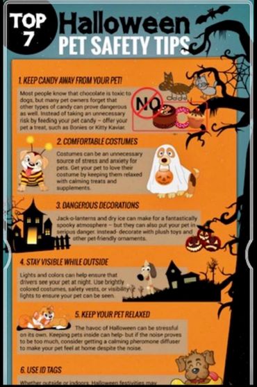 Halloween safety