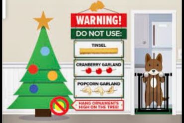 Christmas safety