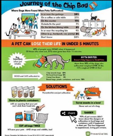 Journey of the chip bag