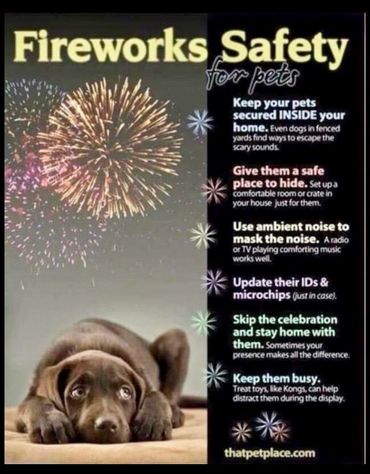 Firework safety