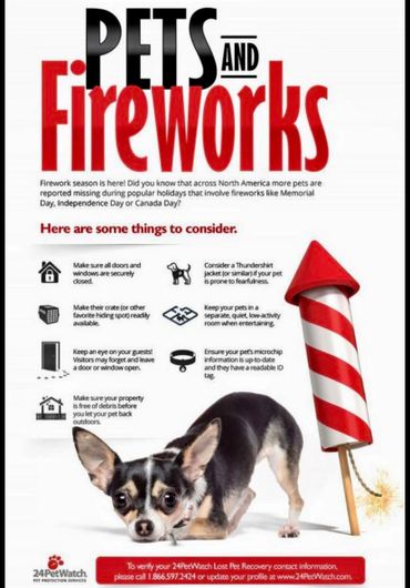 Pets and fireworks