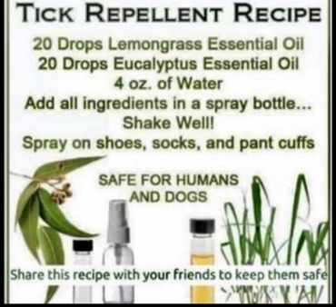 Tick repellent