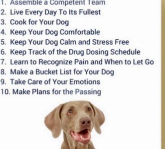 10 ways to prepare for a dog with cancer