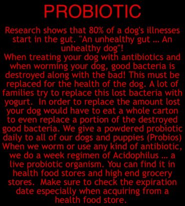 Probiotic information