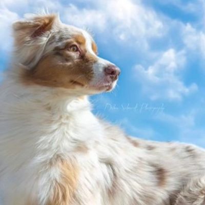 Jerry Lee with a cloud background in New Mexico
Arizona
