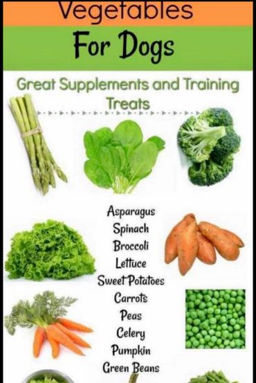 Veggies for your dogs