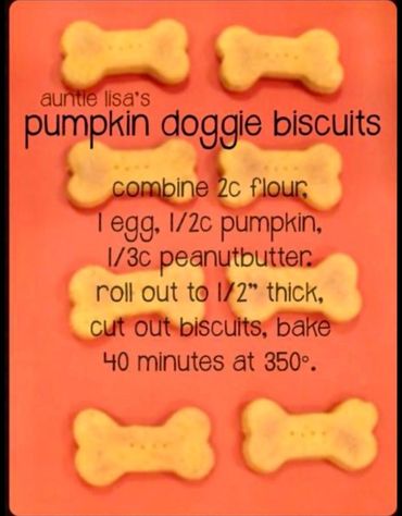Pumpkin doggie biscuits recipe