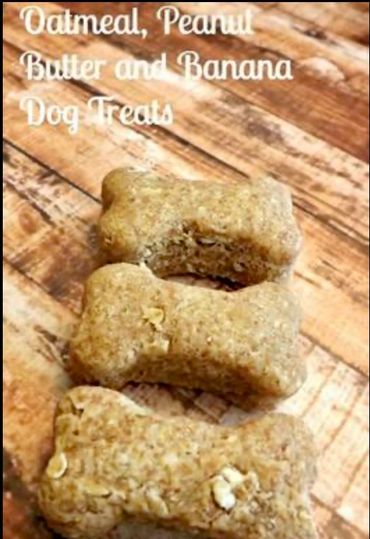Oatmeal peanutbutter and banana dog treat picture