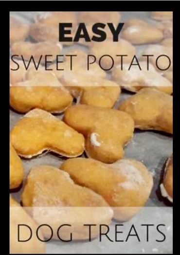 Sweet potato dog treat pic