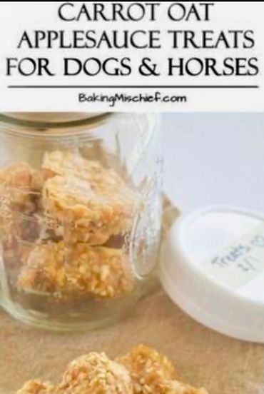 Carrot Oat treat picture