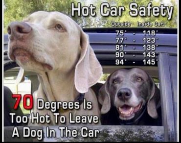 Hot car safety