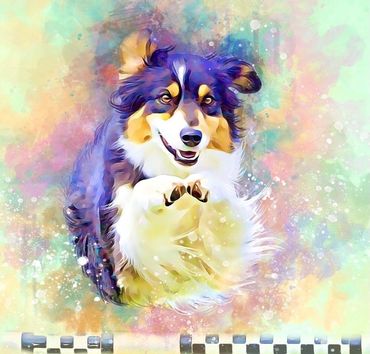 Bella jumping in agility